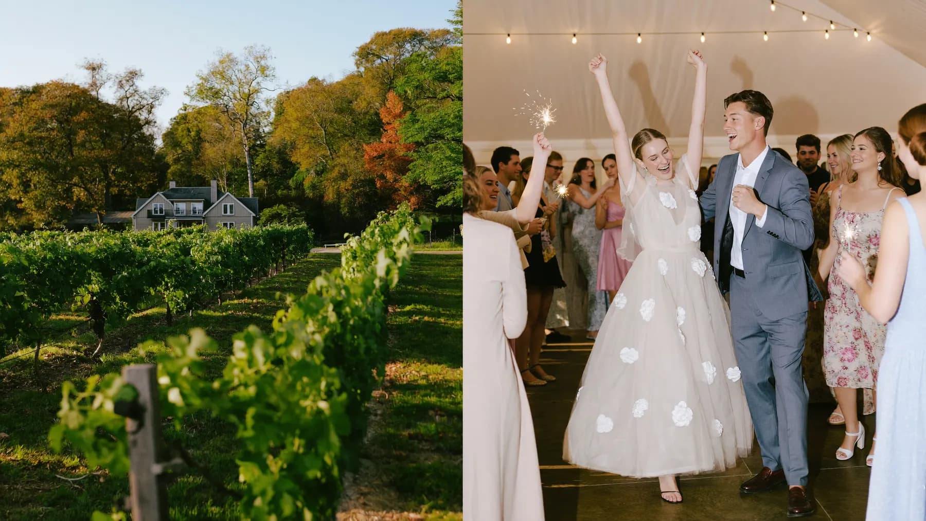 Winery elopement in Ontario by Arman Arai