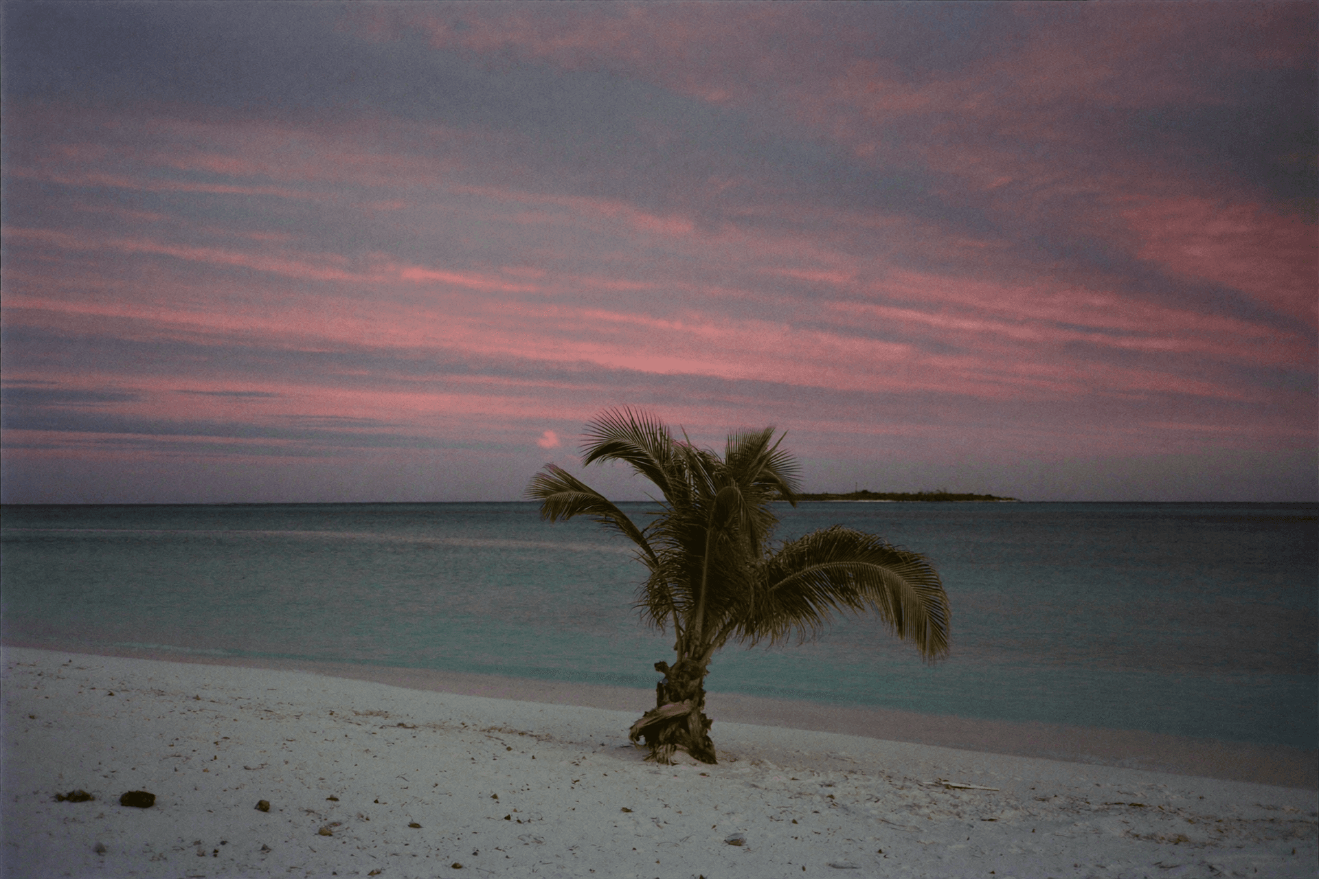 Best Time to Elope in the Riviera Maya