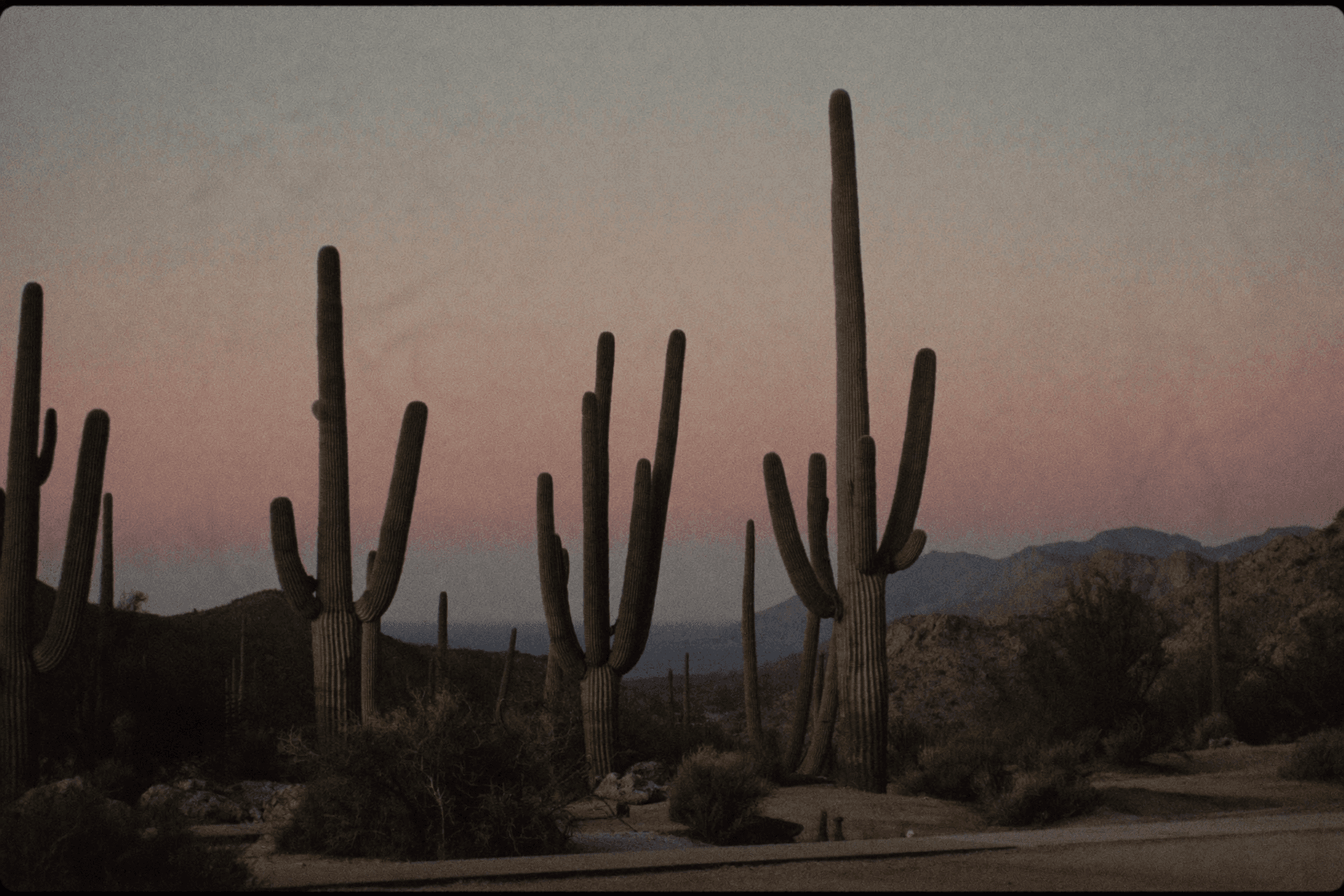 Best Time to Elope in Los Cabos