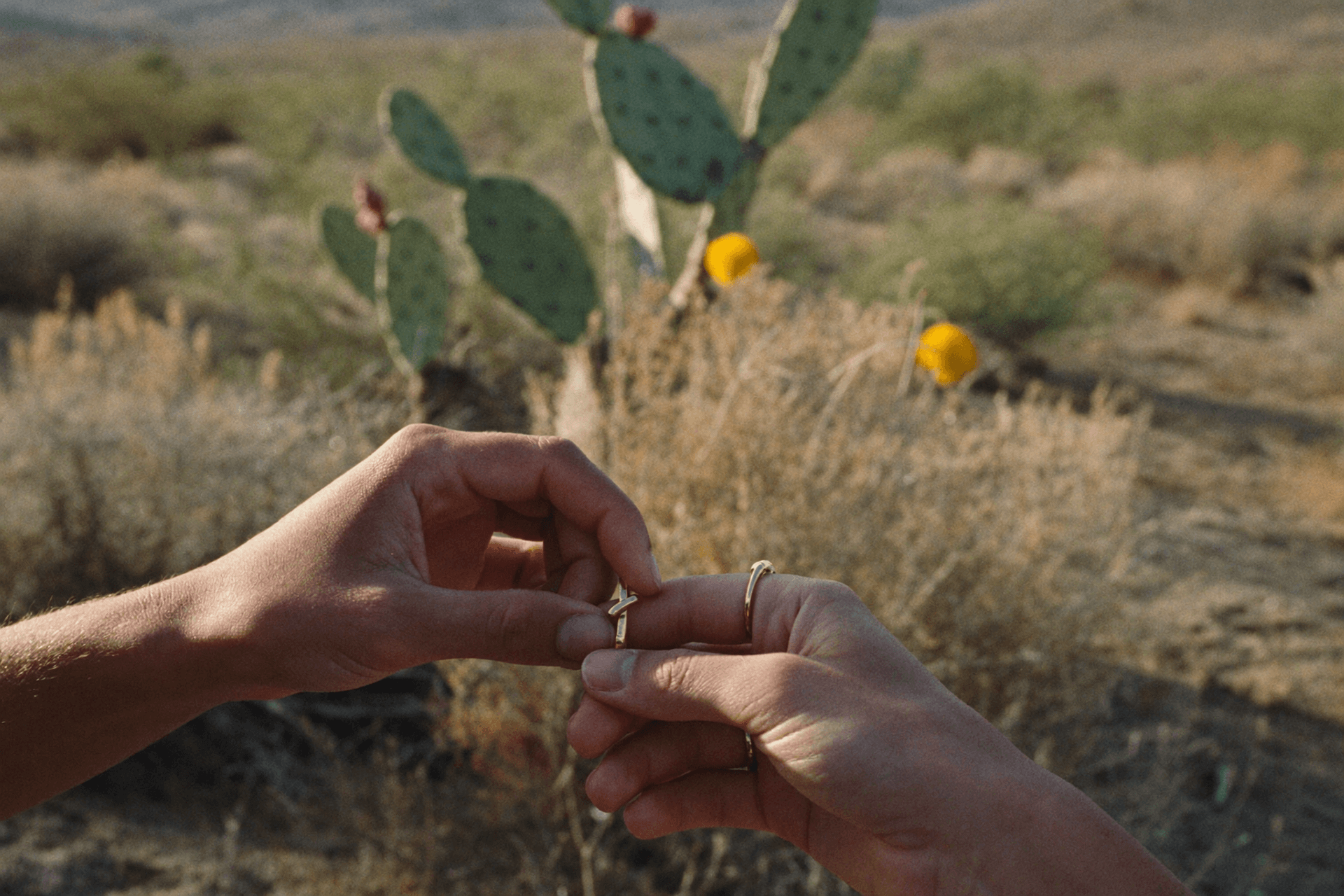 Symbolic vs Legal: Marrying in Mexico