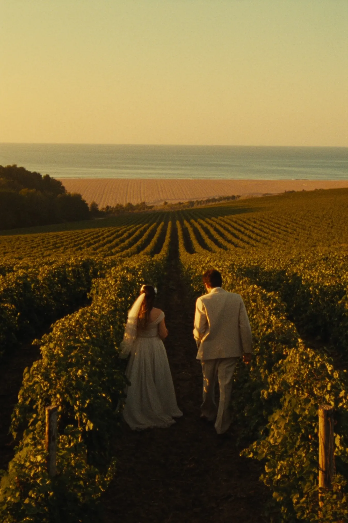 A couple eloping in a golden-hour vineyard in Prince Edward County