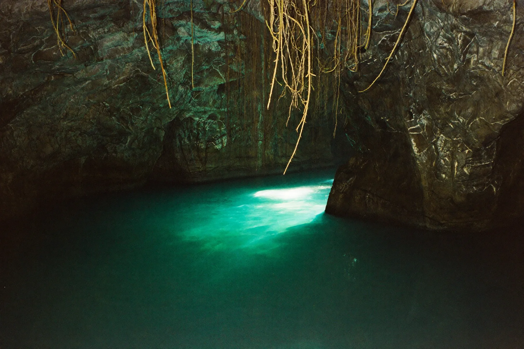 The Cenotes