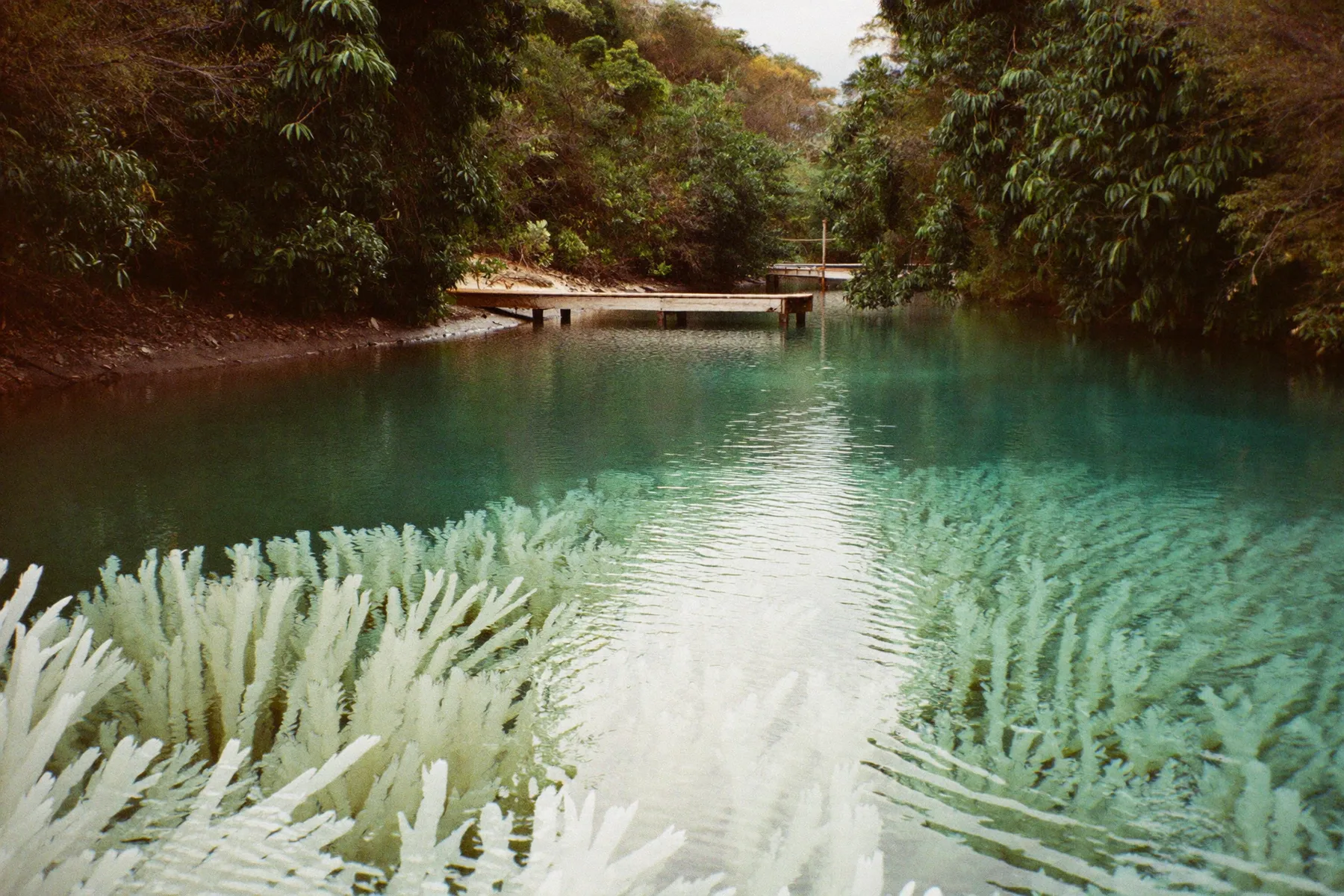 Los Rápidos & the Stromatolites