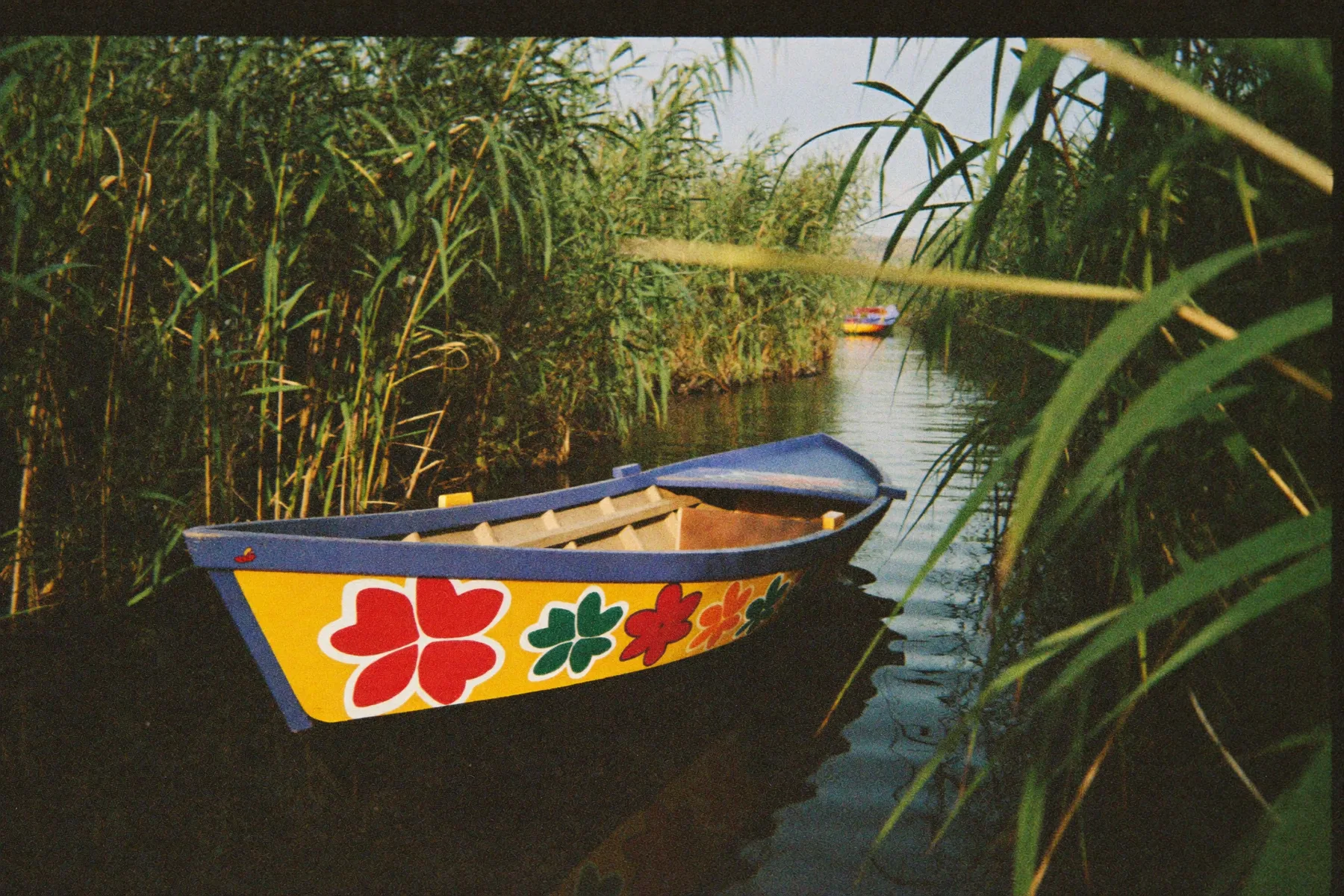 Coyoacán & Xochimilco